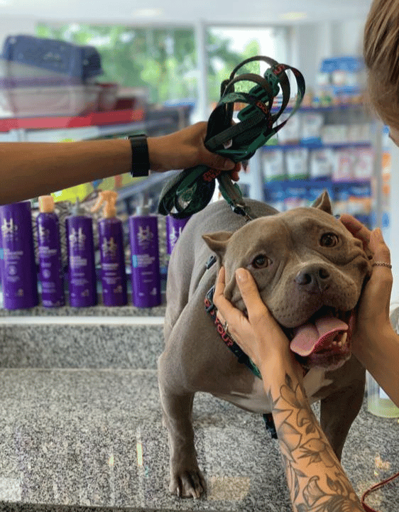 Banho e Tosa II - Procav RJ