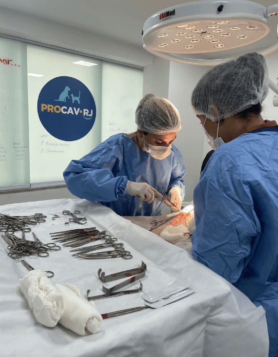 Cirurgia Veterinária I - Procav RJ