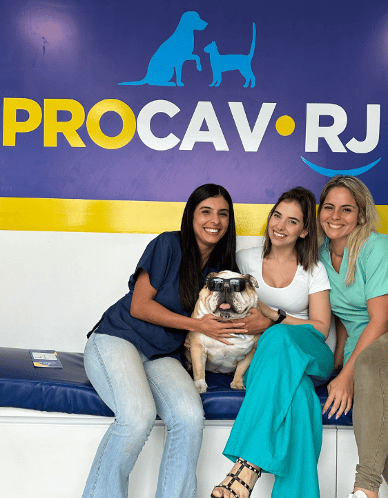 Equipe PROCAV RJ III