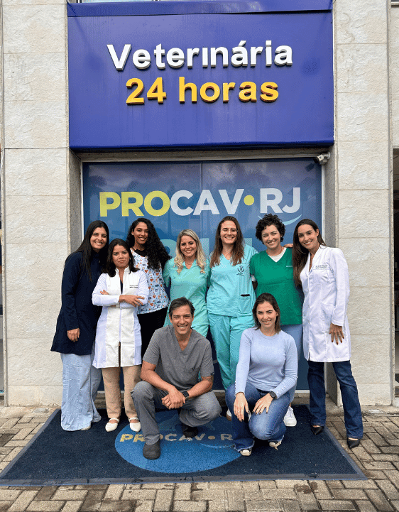 Equipe PROCAV RJ IV