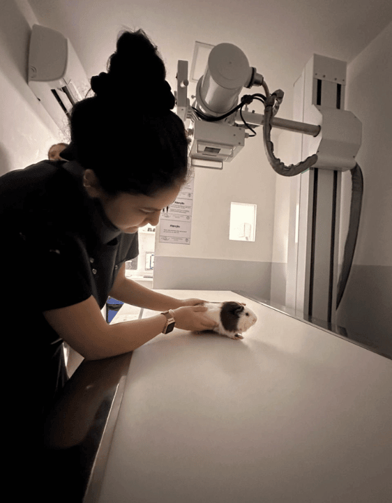 Exames de Imagem I - Procav RJ