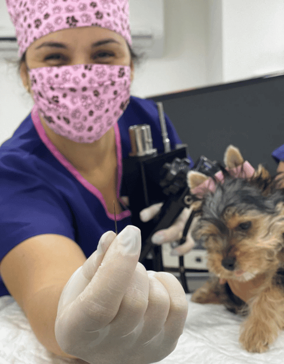 Exames de Imagem II - Procav RJ